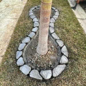 Concrete Curbing in Bradenton, Florida